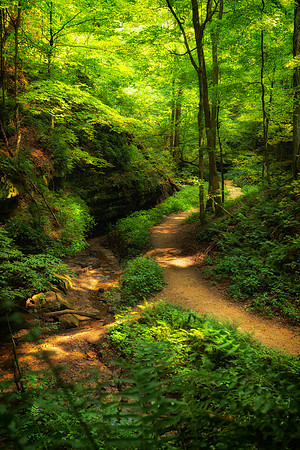 Hiking traild at Wildcat Den state park in Iowa