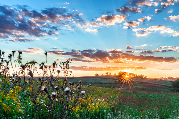 Iowa sunset on a prairie with a sunburst flare