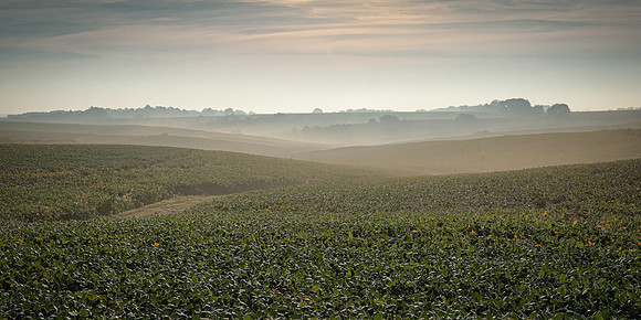 Rolling hills and fog near Iowa City
